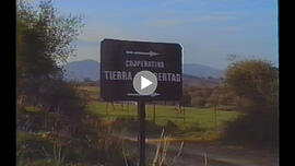 Cooperativa Tierra y Libertad. 1993. El Bosque (Cádiz, España)